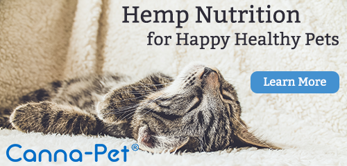Hemp nutrition for Happy Healthy Pets 